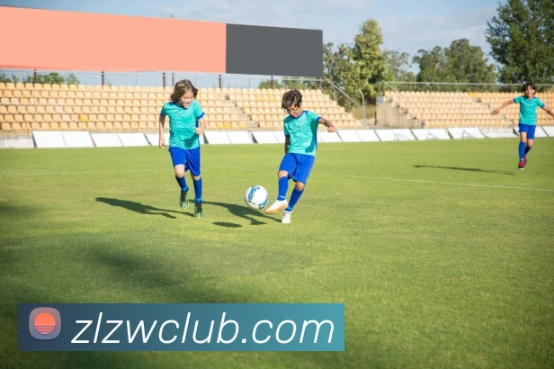 星空平台平台生态图